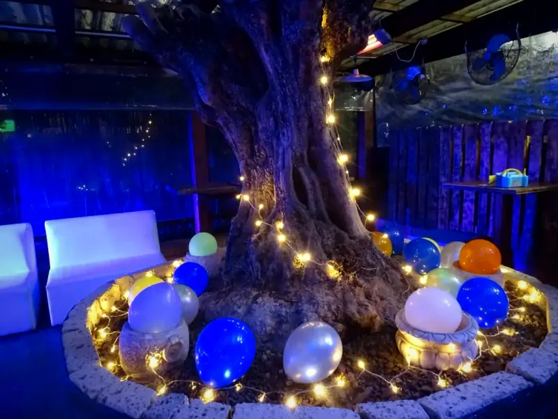 Installazione artistica di palloncini, foto 7